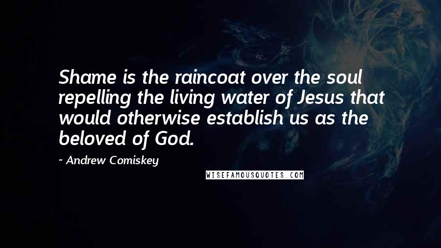 Andrew Comiskey Quotes: Shame is the raincoat over the soul repelling the living water of Jesus that would otherwise establish us as the beloved of God.