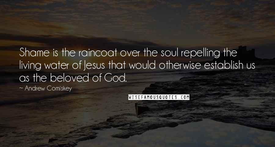 Andrew Comiskey Quotes: Shame is the raincoat over the soul repelling the living water of Jesus that would otherwise establish us as the beloved of God.