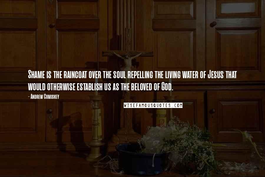 Andrew Comiskey Quotes: Shame is the raincoat over the soul repelling the living water of Jesus that would otherwise establish us as the beloved of God.