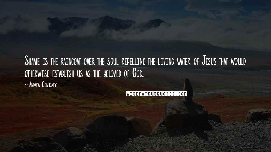 Andrew Comiskey Quotes: Shame is the raincoat over the soul repelling the living water of Jesus that would otherwise establish us as the beloved of God.