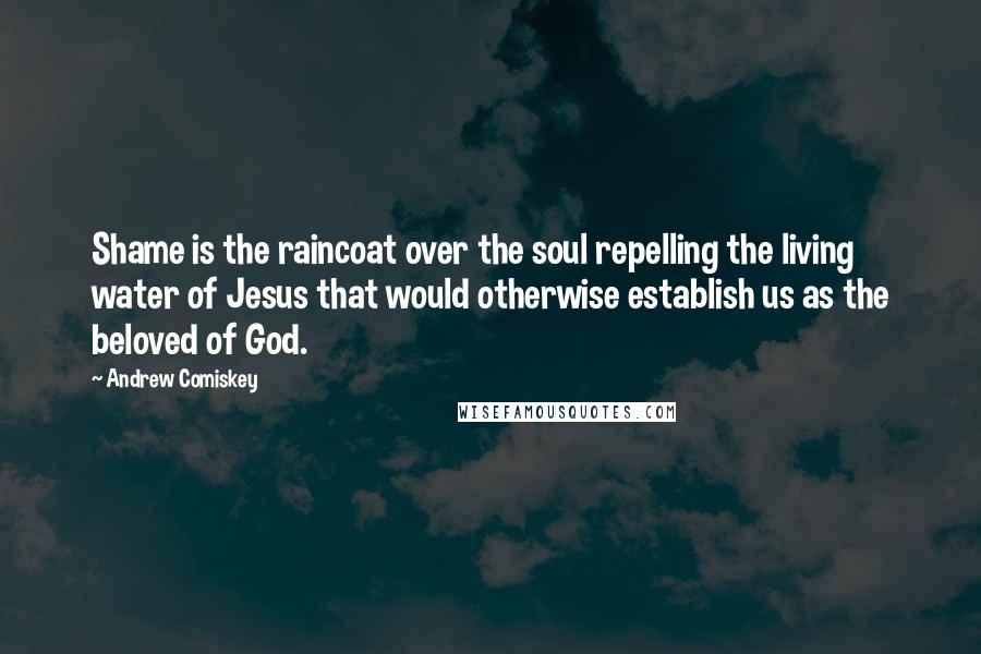 Andrew Comiskey Quotes: Shame is the raincoat over the soul repelling the living water of Jesus that would otherwise establish us as the beloved of God.