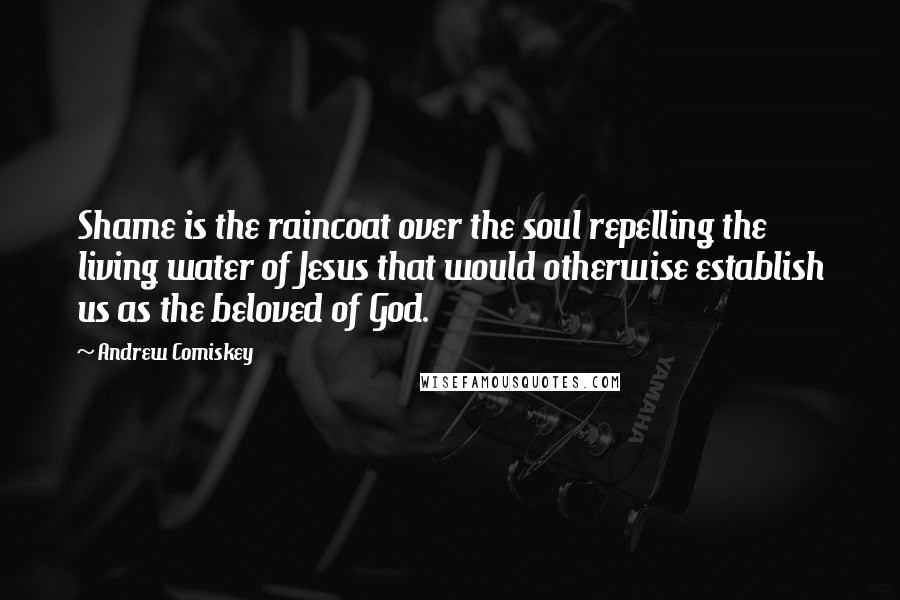 Andrew Comiskey Quotes: Shame is the raincoat over the soul repelling the living water of Jesus that would otherwise establish us as the beloved of God.