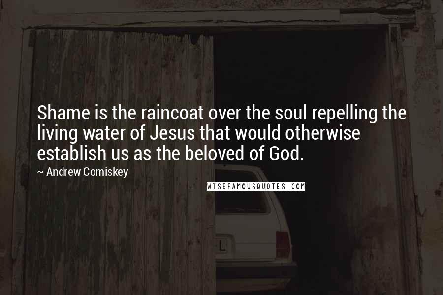 Andrew Comiskey Quotes: Shame is the raincoat over the soul repelling the living water of Jesus that would otherwise establish us as the beloved of God.