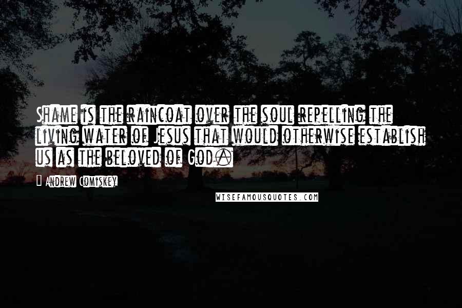 Andrew Comiskey Quotes: Shame is the raincoat over the soul repelling the living water of Jesus that would otherwise establish us as the beloved of God.
