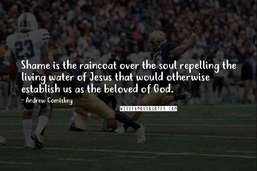 Andrew Comiskey Quotes: Shame is the raincoat over the soul repelling the living water of Jesus that would otherwise establish us as the beloved of God.