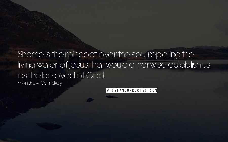 Andrew Comiskey Quotes: Shame is the raincoat over the soul repelling the living water of Jesus that would otherwise establish us as the beloved of God.