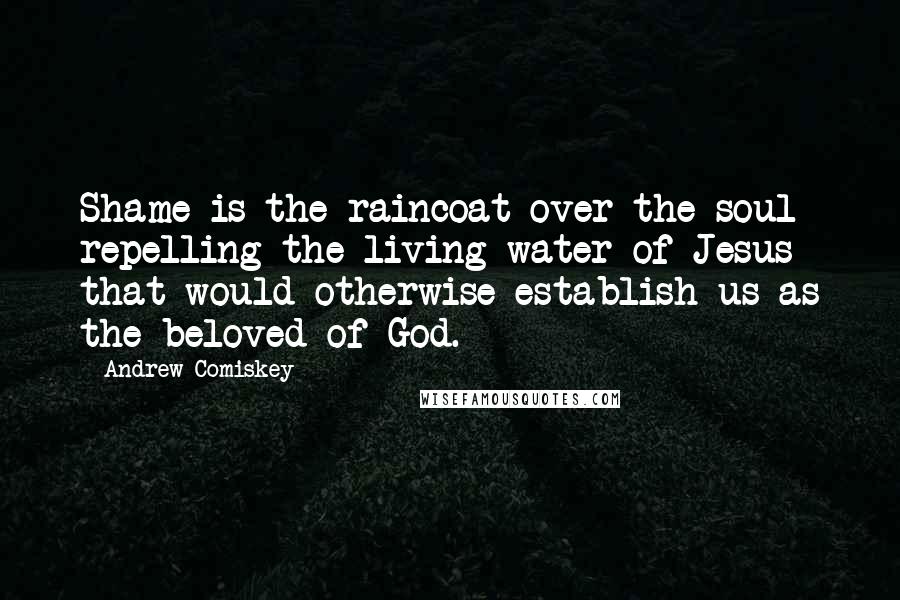 Andrew Comiskey Quotes: Shame is the raincoat over the soul repelling the living water of Jesus that would otherwise establish us as the beloved of God.