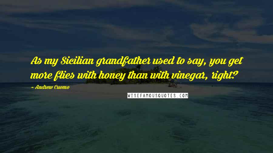 Andrew Cuomo Quotes: As my Sicilian grandfather used to say, you get more flies with honey than with vinegar, right?