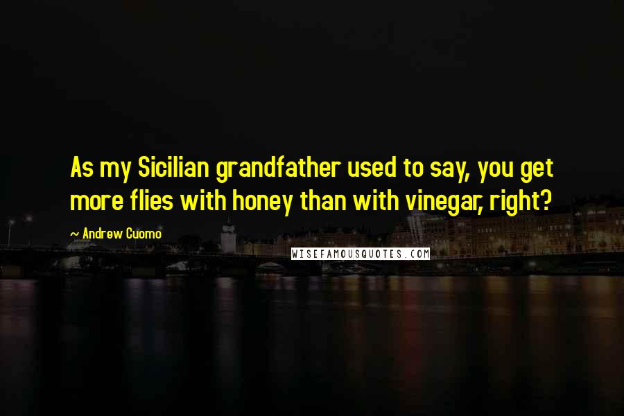 Andrew Cuomo Quotes: As my Sicilian grandfather used to say, you get more flies with honey than with vinegar, right?