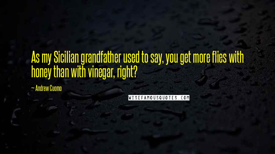 Andrew Cuomo Quotes: As my Sicilian grandfather used to say, you get more flies with honey than with vinegar, right?