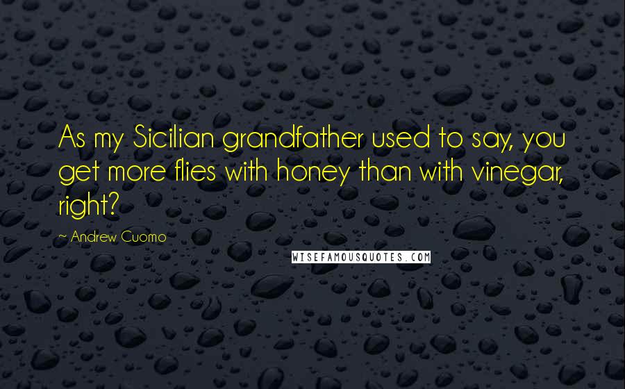 Andrew Cuomo Quotes: As my Sicilian grandfather used to say, you get more flies with honey than with vinegar, right?