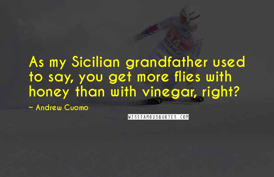 Andrew Cuomo Quotes: As my Sicilian grandfather used to say, you get more flies with honey than with vinegar, right?