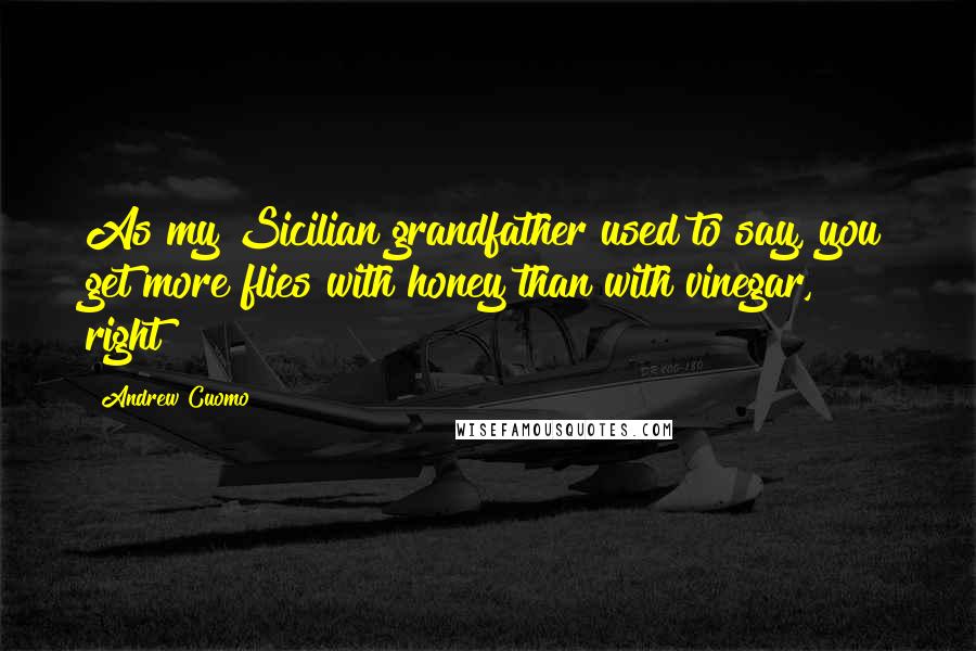 Andrew Cuomo Quotes: As my Sicilian grandfather used to say, you get more flies with honey than with vinegar, right?