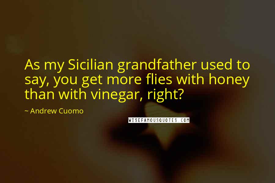 Andrew Cuomo Quotes: As my Sicilian grandfather used to say, you get more flies with honey than with vinegar, right?