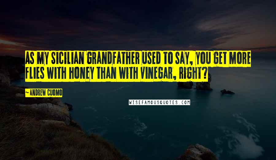 Andrew Cuomo Quotes: As my Sicilian grandfather used to say, you get more flies with honey than with vinegar, right?