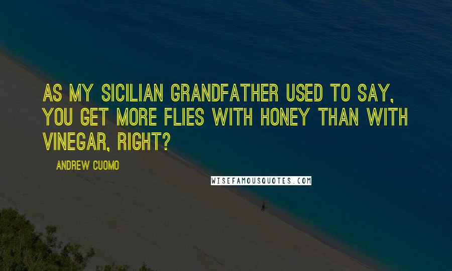 Andrew Cuomo Quotes: As my Sicilian grandfather used to say, you get more flies with honey than with vinegar, right?