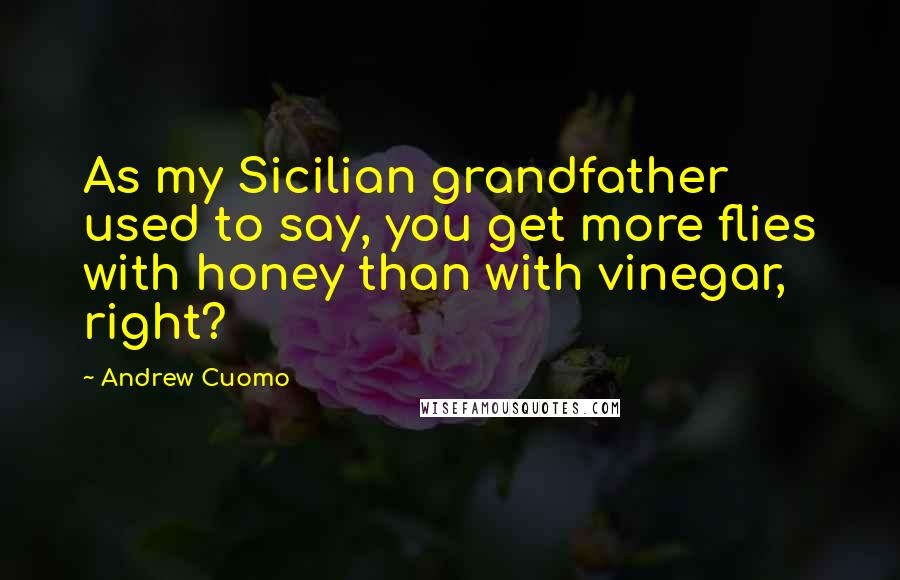 Andrew Cuomo Quotes: As my Sicilian grandfather used to say, you get more flies with honey than with vinegar, right?