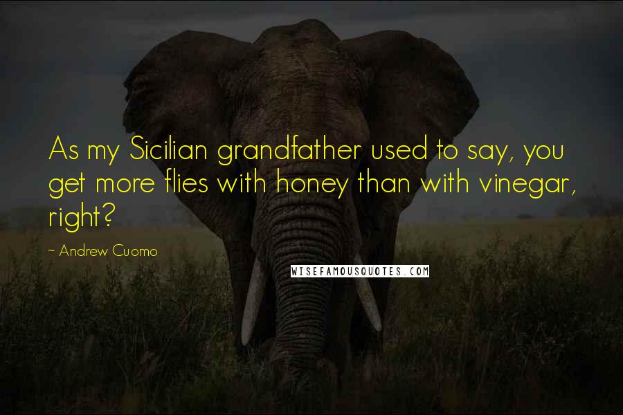 Andrew Cuomo Quotes: As my Sicilian grandfather used to say, you get more flies with honey than with vinegar, right?