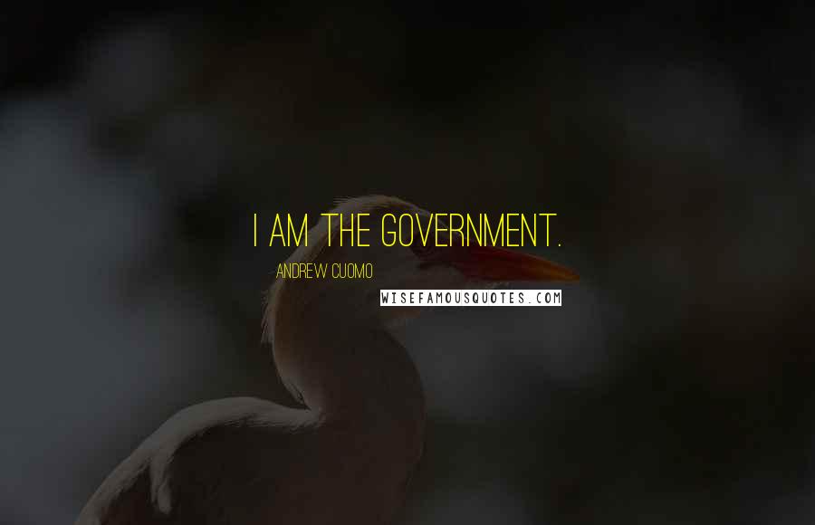 Andrew Cuomo Quotes: I am the government.