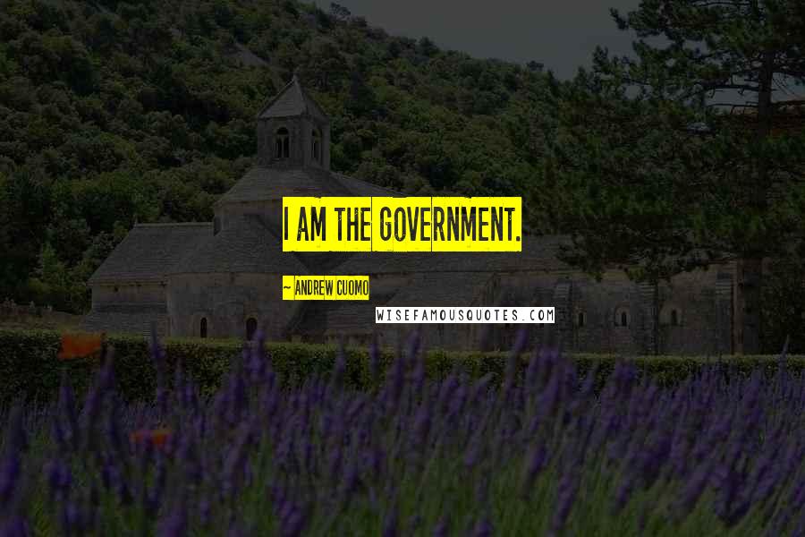 Andrew Cuomo Quotes: I am the government.