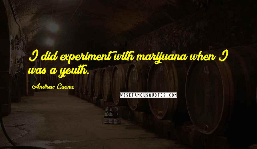 Andrew Cuomo Quotes: I did experiment with marijuana when I was a youth.