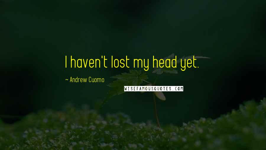 Andrew Cuomo Quotes: I haven't lost my head yet.