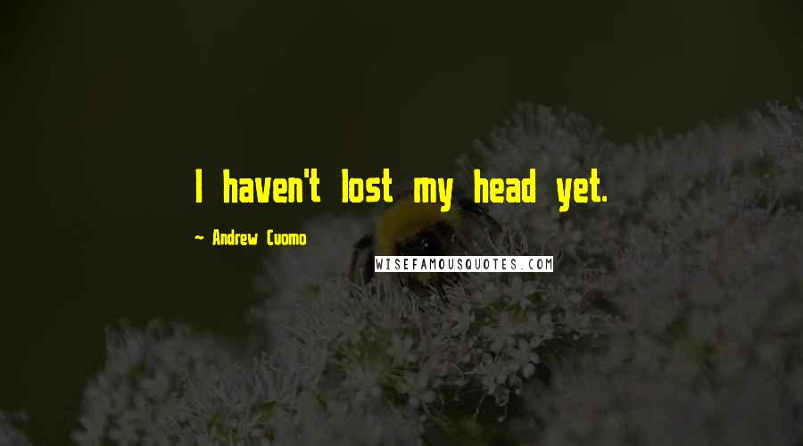 Andrew Cuomo Quotes: I haven't lost my head yet.