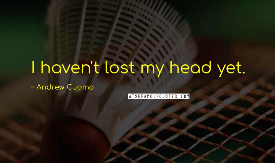 Andrew Cuomo Quotes: I haven't lost my head yet.