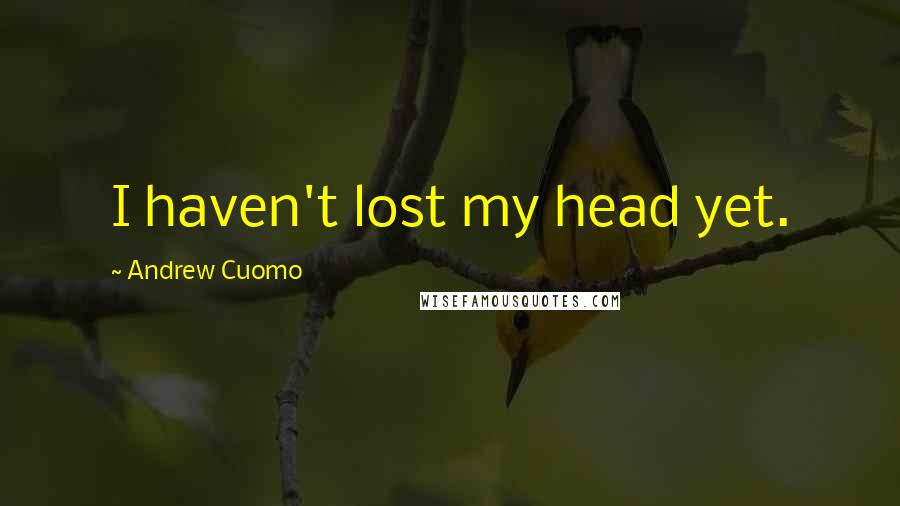 Andrew Cuomo Quotes: I haven't lost my head yet.