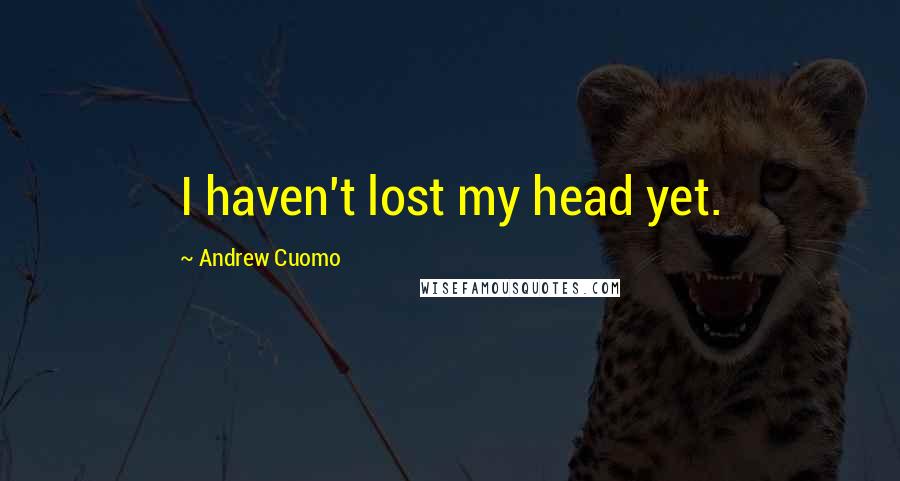 Andrew Cuomo Quotes: I haven't lost my head yet.