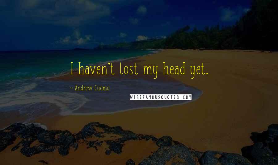 Andrew Cuomo Quotes: I haven't lost my head yet.