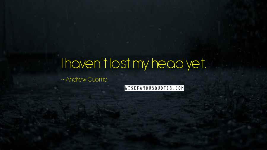 Andrew Cuomo Quotes: I haven't lost my head yet.