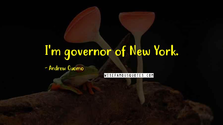 Andrew Cuomo Quotes: I'm governor of New York.