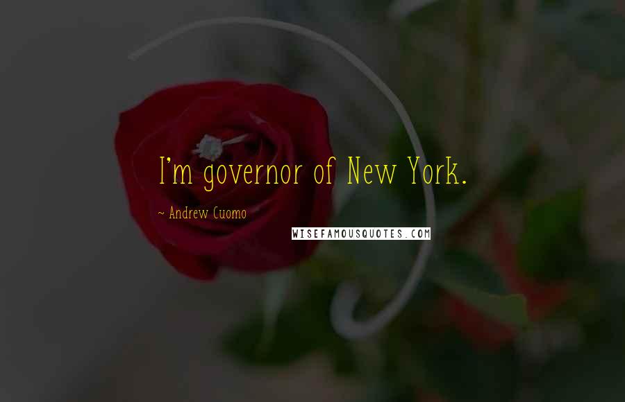 Andrew Cuomo Quotes: I'm governor of New York.