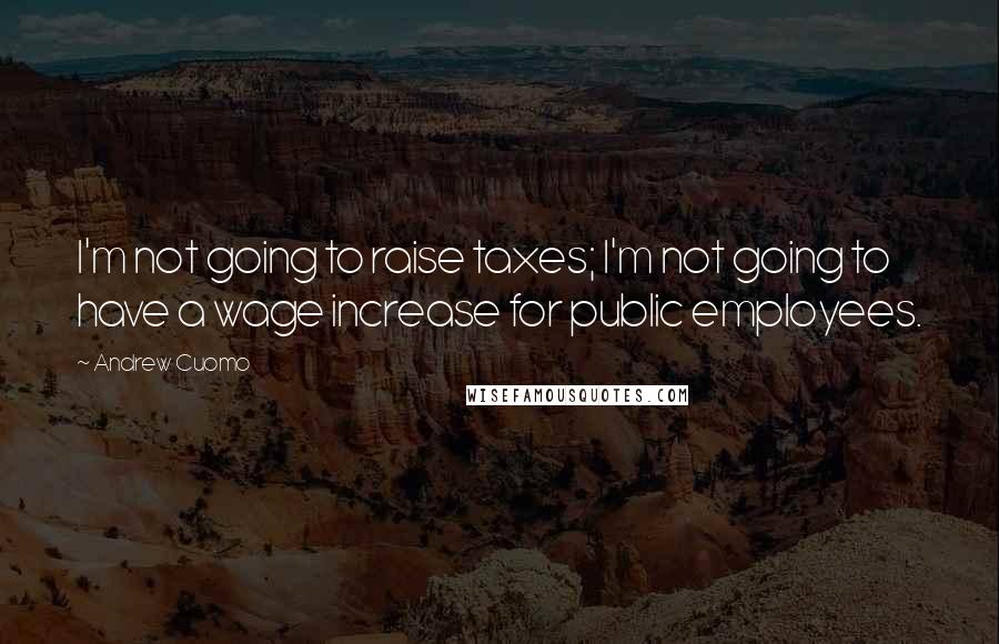 Andrew Cuomo Quotes: I'm not going to raise taxes; I'm not going to have a wage increase for public employees.