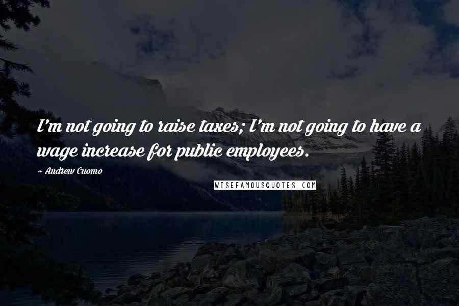 Andrew Cuomo Quotes: I'm not going to raise taxes; I'm not going to have a wage increase for public employees.