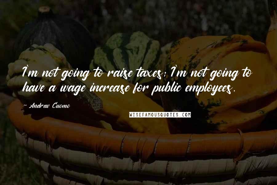 Andrew Cuomo Quotes: I'm not going to raise taxes; I'm not going to have a wage increase for public employees.