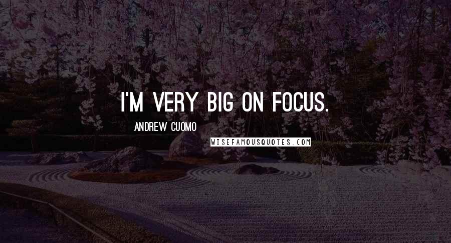 Andrew Cuomo Quotes: I'm very big on focus.