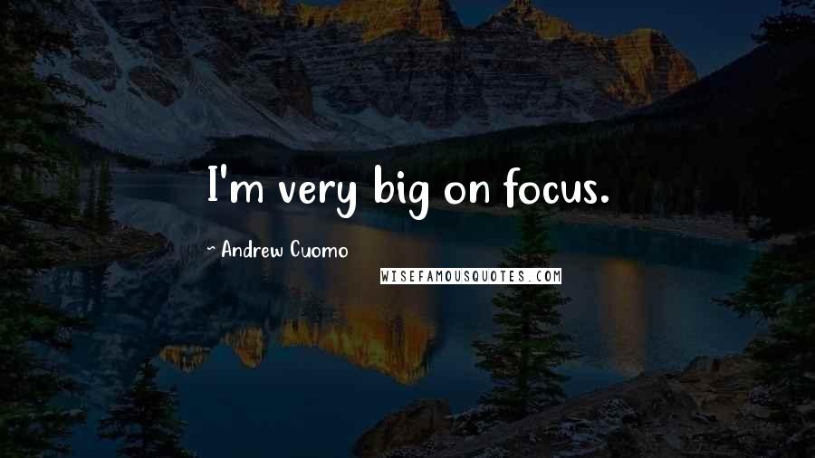 Andrew Cuomo Quotes: I'm very big on focus.