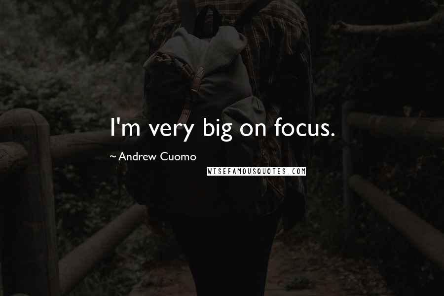 Andrew Cuomo Quotes: I'm very big on focus.