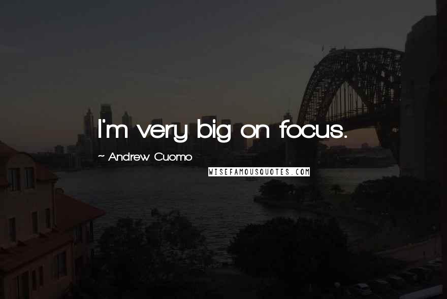 Andrew Cuomo Quotes: I'm very big on focus.