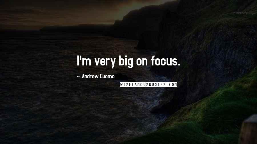 Andrew Cuomo Quotes: I'm very big on focus.