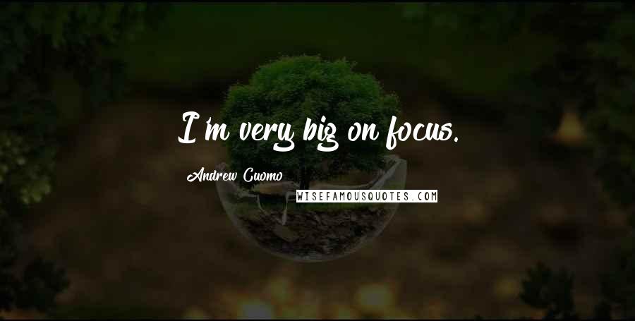 Andrew Cuomo Quotes: I'm very big on focus.