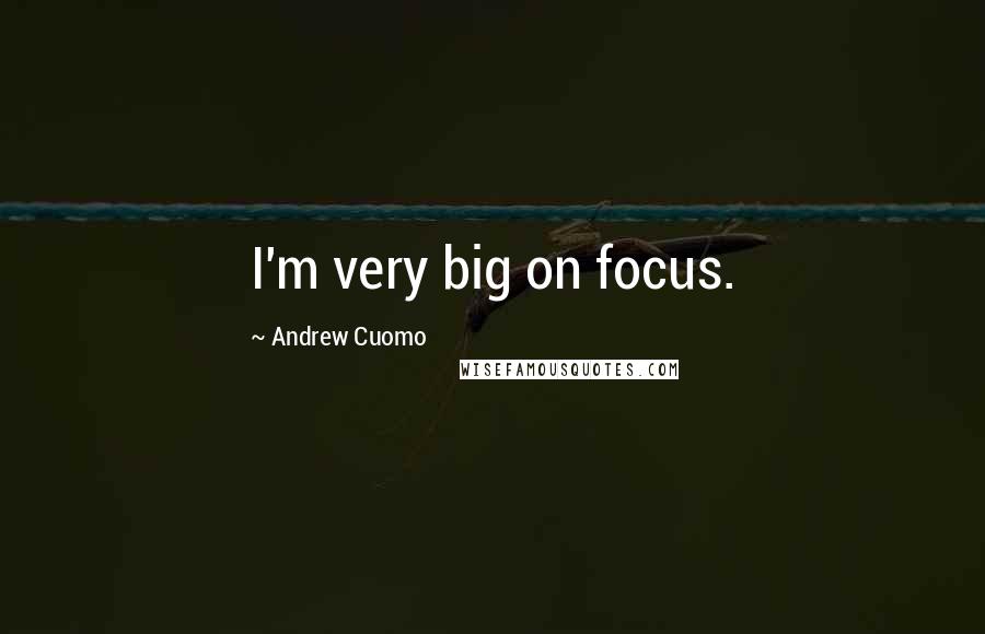 Andrew Cuomo Quotes: I'm very big on focus.