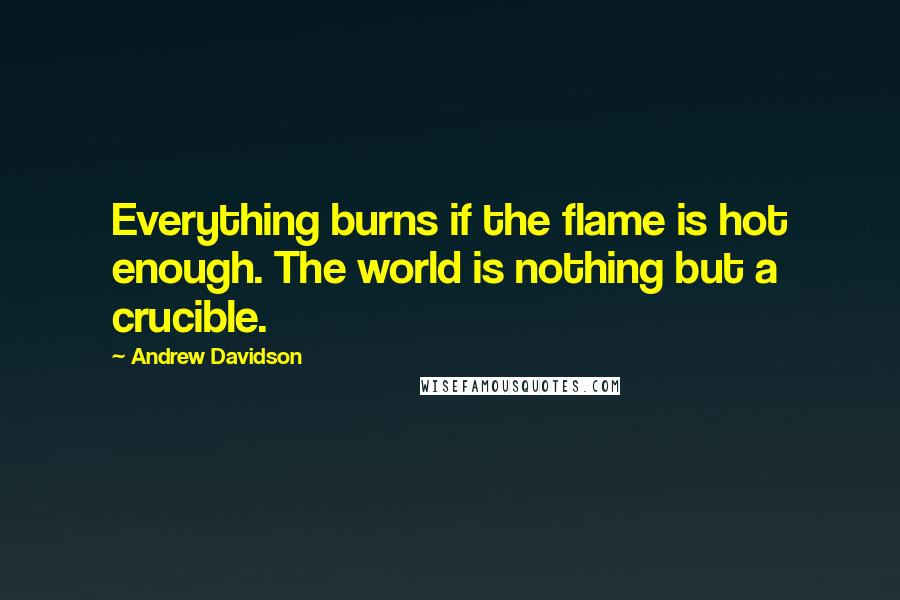 Andrew Davidson Quotes: Everything burns if the flame is hot enough. The world is nothing but a crucible.