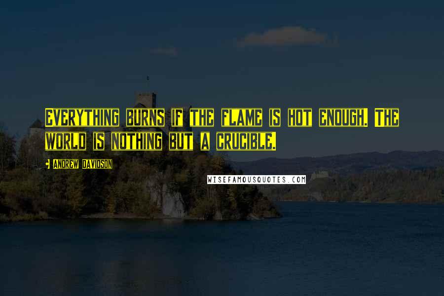 Andrew Davidson Quotes: Everything burns if the flame is hot enough. The world is nothing but a crucible.