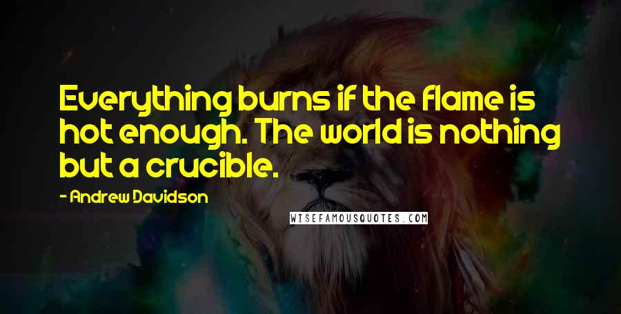 Andrew Davidson Quotes: Everything burns if the flame is hot enough. The world is nothing but a crucible.