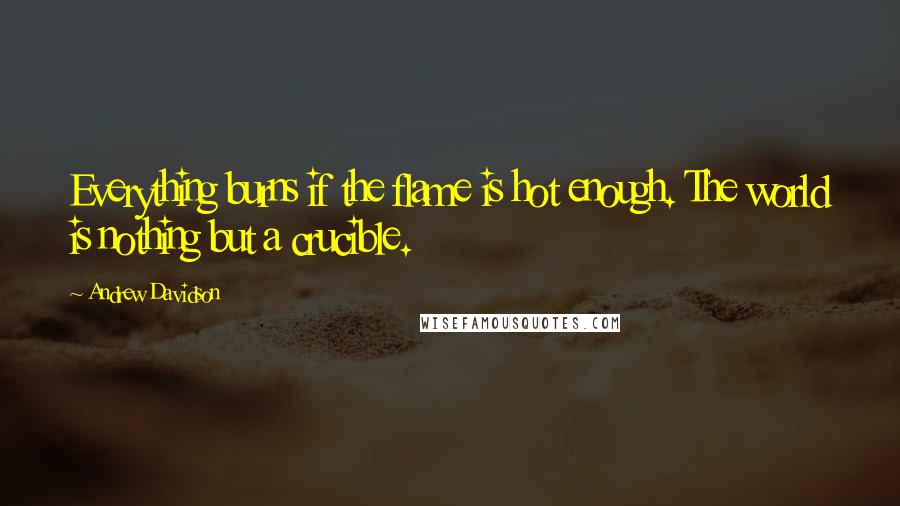 Andrew Davidson Quotes: Everything burns if the flame is hot enough. The world is nothing but a crucible.