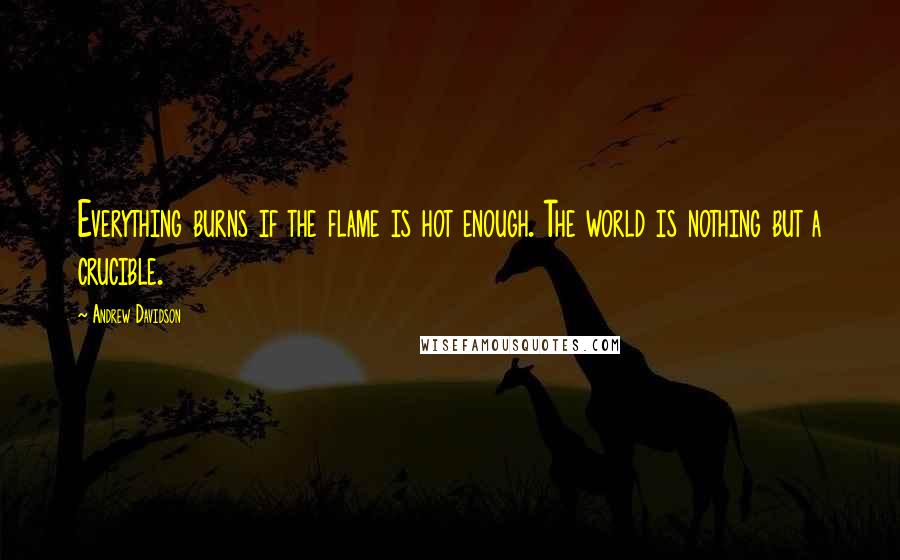 Andrew Davidson Quotes: Everything burns if the flame is hot enough. The world is nothing but a crucible.