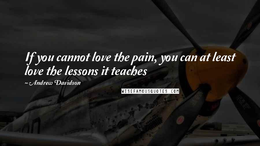 Andrew Davidson Quotes: If you cannot love the pain, you can at least love the lessons it teaches